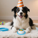 Comedouro Lento Puzzle para Cão
