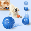 Bola Interativa Automática para Cão