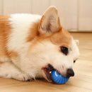 Bola Interativa Automática para Cão