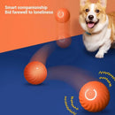 Bola Interativa Automática para Cão