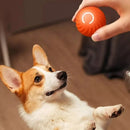 Bola Interativa Automática para Cão