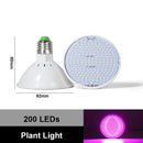 LED Plant Grow Light – E27 Full Spectrum Grow Bulb